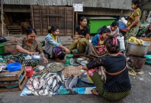 Fisher sellers in Yangon