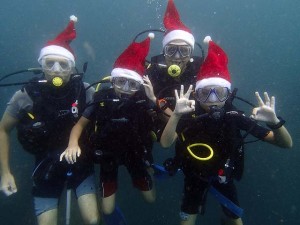 Christmas scuba diving Sri Lanka