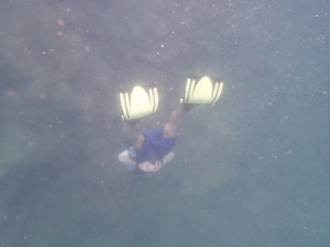 Snorkelling fins