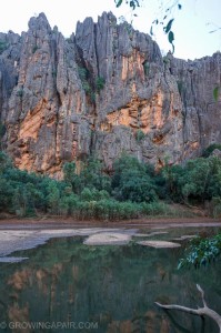 Prehistoric outback reef