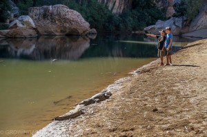 Freshies at Windjana Gorge