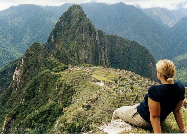 view over Macchu Picchu
